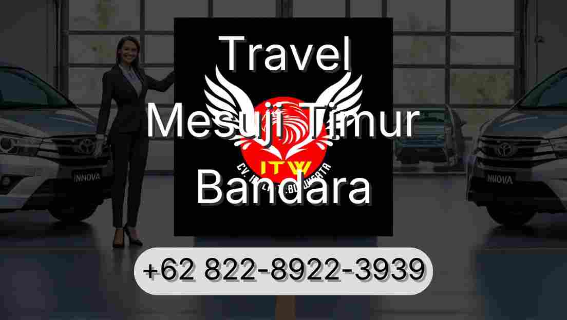 Travel Mesuji Timur Bandara