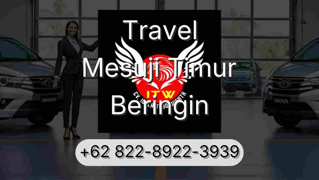 Travel Mesuji Timur Beringin