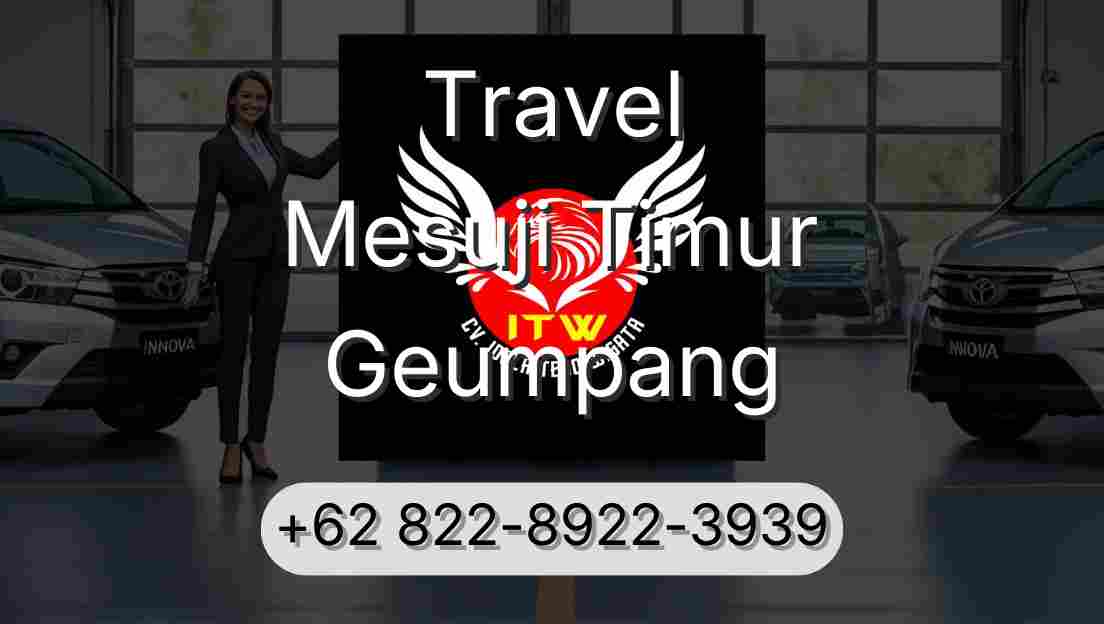Travel Mesuji Timur Geumpang