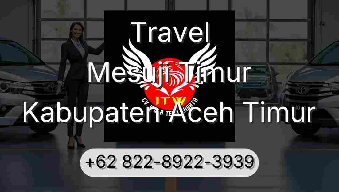 Travel Mesuji Timur Kabupaten Aceh Timur
