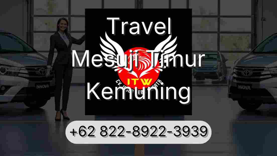 Travel Mesuji Timur Kemuning