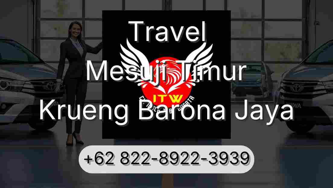 Travel Mesuji Timur Krueng Barona Jaya