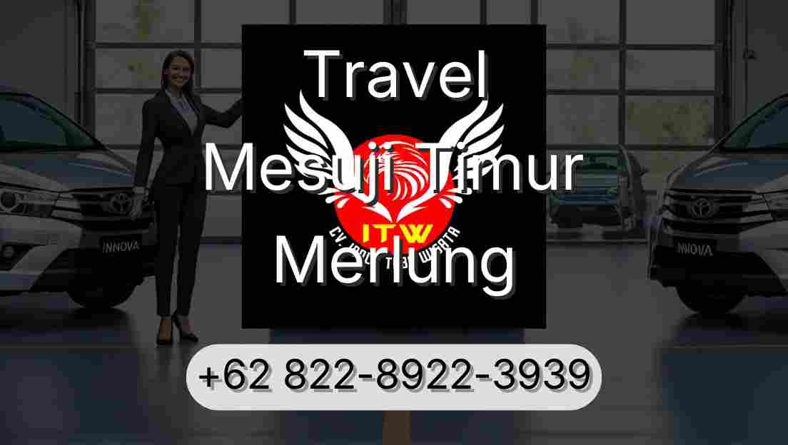 Travel Mesuji Timur Merlung