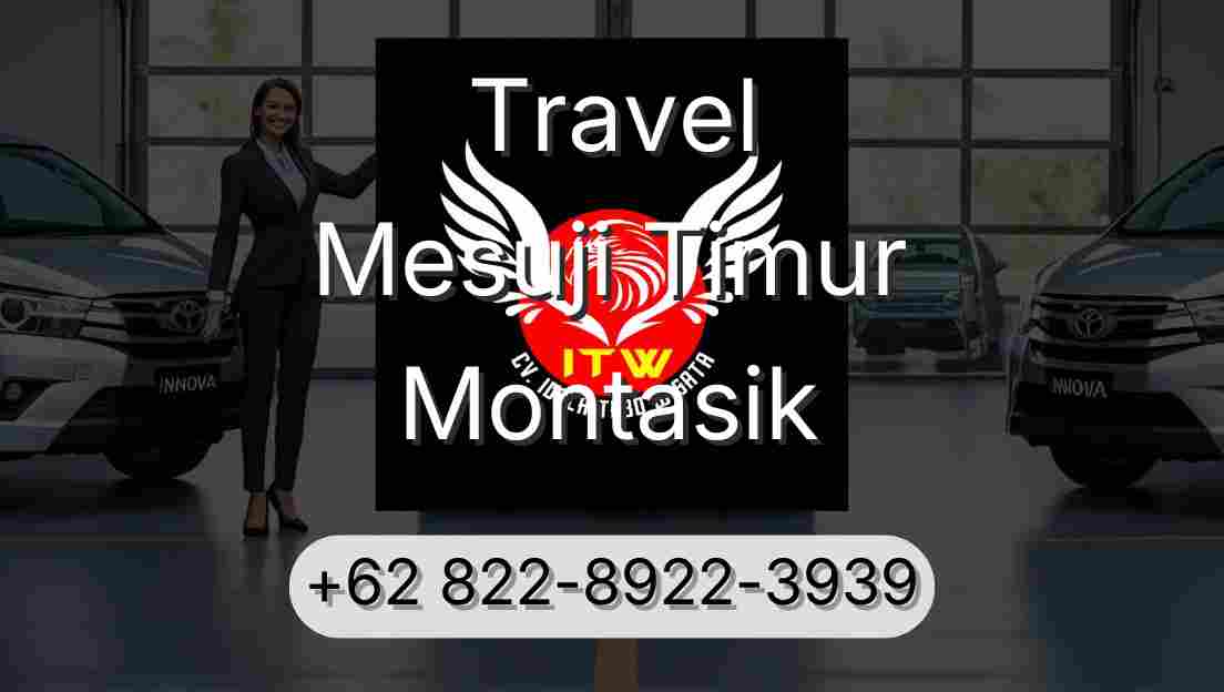 Travel Mesuji Timur Montasik