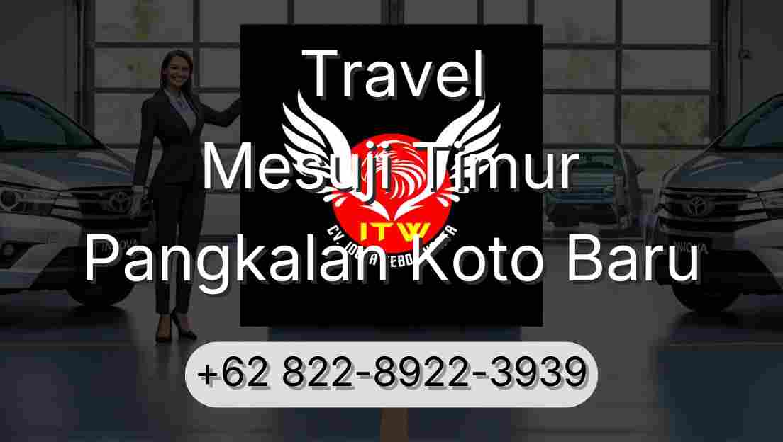 Travel Mesuji Timur Pangkalan Koto Baru