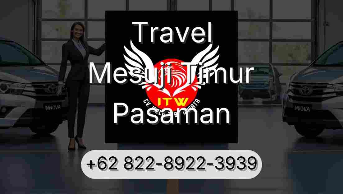 Travel Mesuji Timur Pasaman