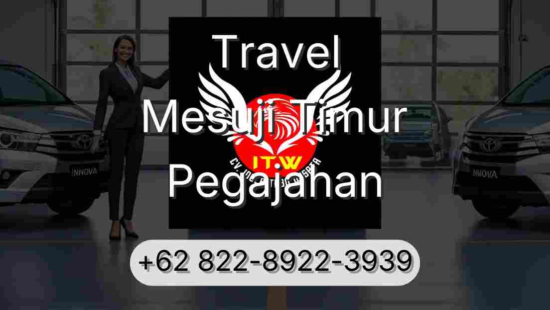 Travel Mesuji Timur Pegajahan