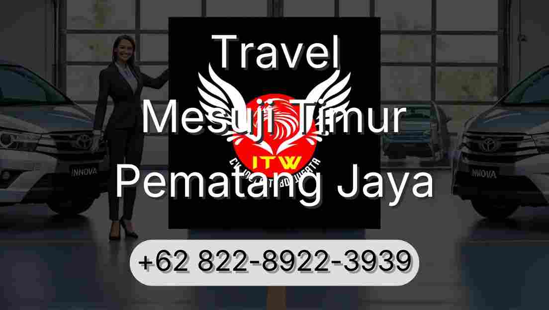 Travel Mesuji Timur Pematang Jaya