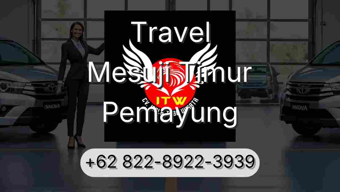 Travel Mesuji Timur Pemayung