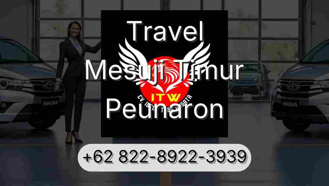 Travel Mesuji Timur Peunaron