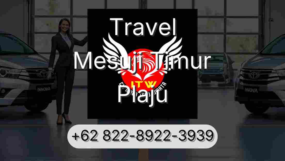 Travel Mesuji Timur Plaju