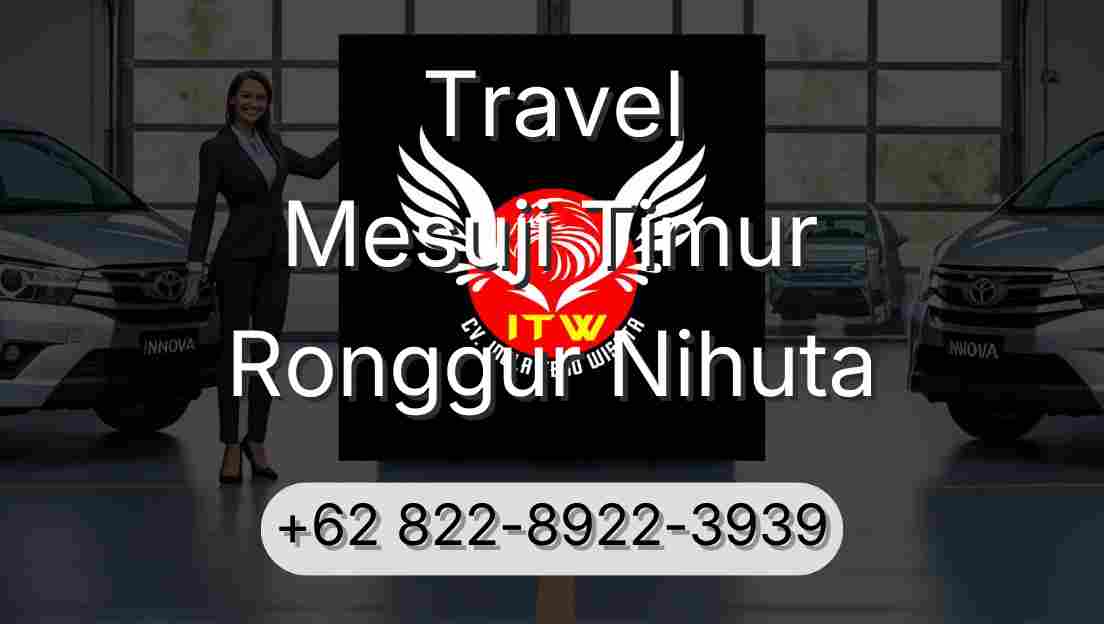 Travel Mesuji Timur Ronggur Nihuta