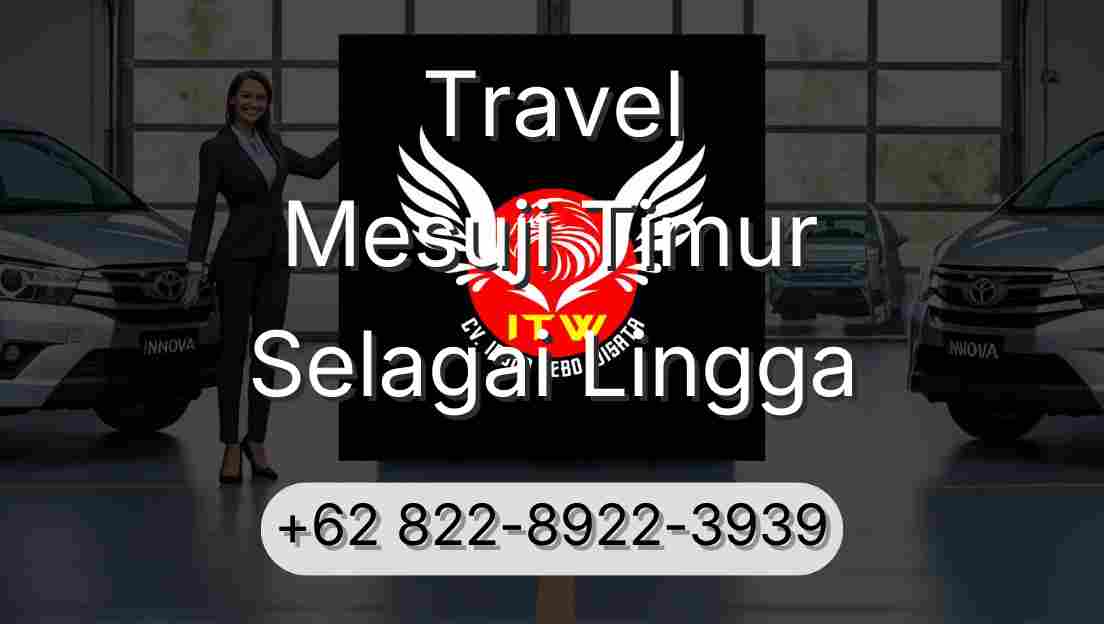 Travel Mesuji Timur Selagai Lingga