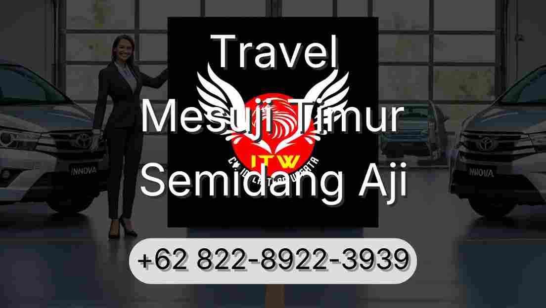 Travel Mesuji Timur Semidang Aji