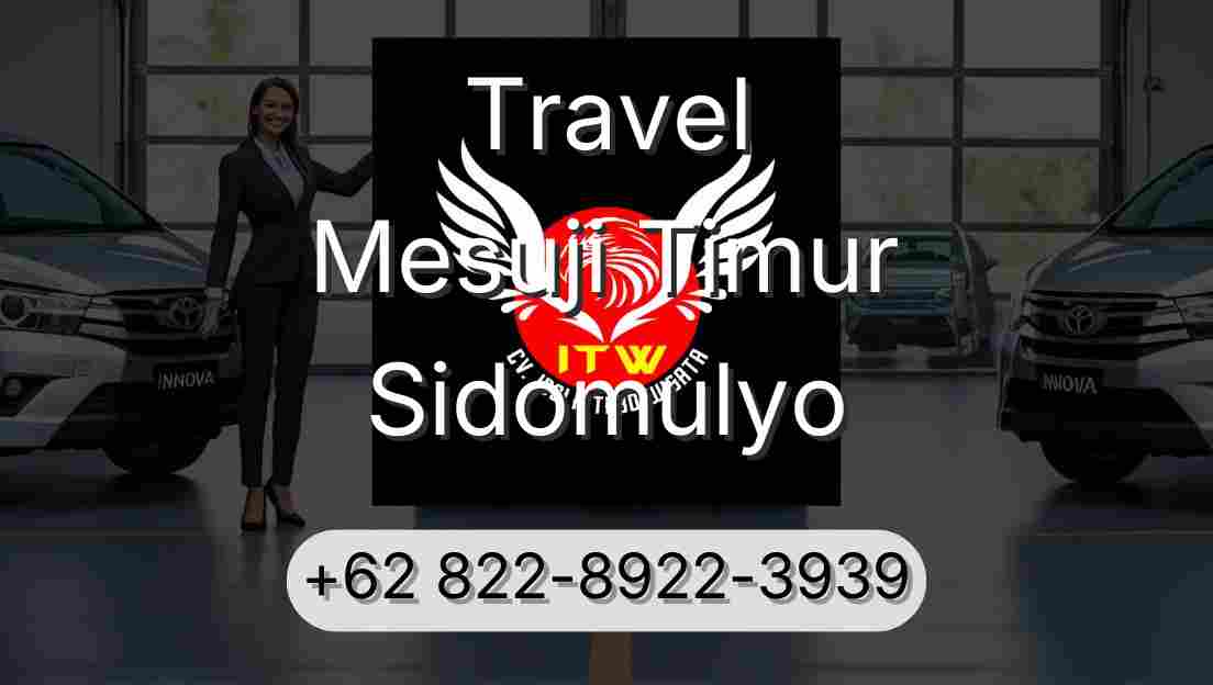 Travel Mesuji Timur Sidomulyo