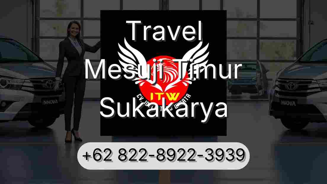 Travel Mesuji Timur Sukakarya