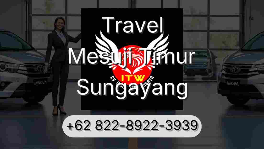 Travel Mesuji Timur Sungayang