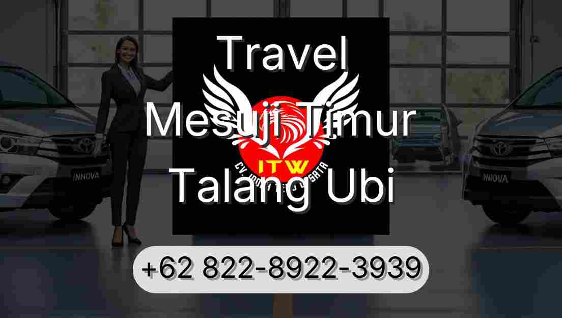 Travel Mesuji Timur Talang Ubi