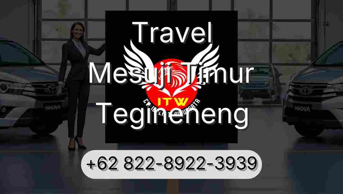Travel Mesuji Timur Tegineneng