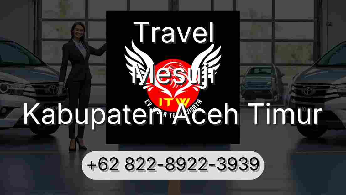 Travel Mesuji Kabupaten Aceh Timur