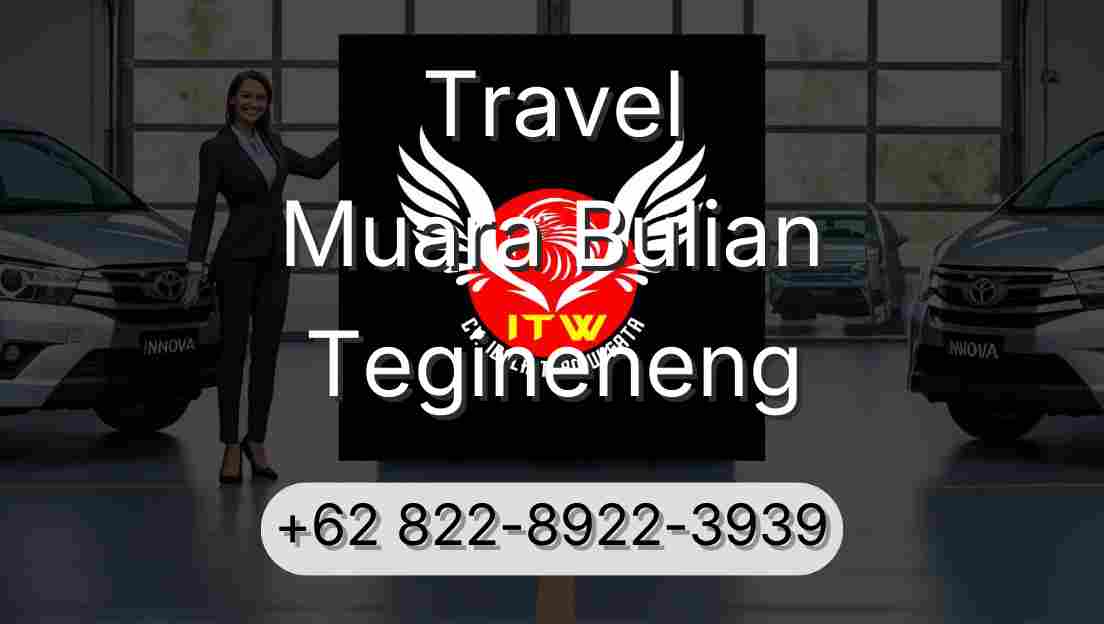 Travel Muara Bulian Tegineneng