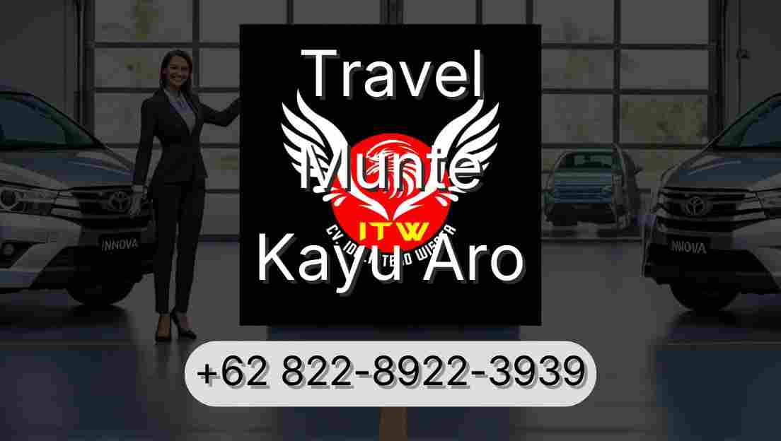 Travel Munte Kayu Aro