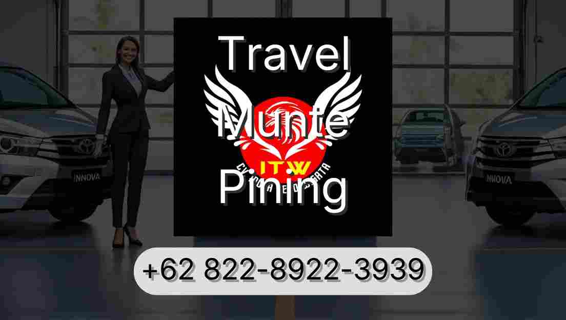 Travel Munte Pining