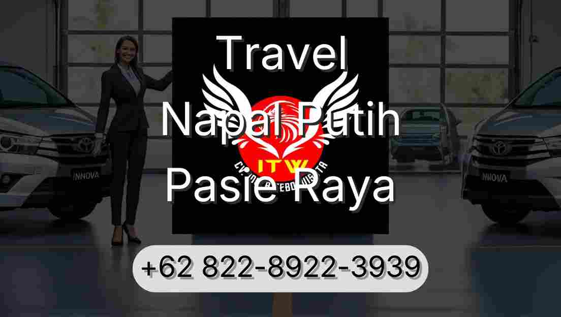 Travel Napal Putih Pasie Raya