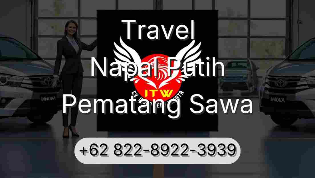 Travel Napal Putih Pematang Sawa