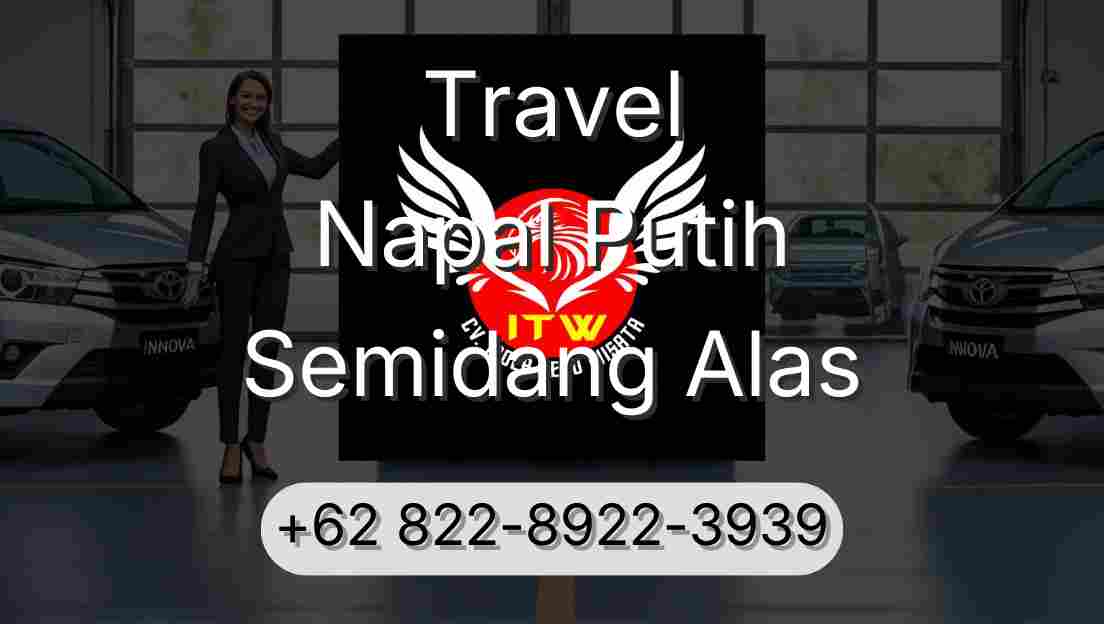 Travel Napal Putih Semidang Alas