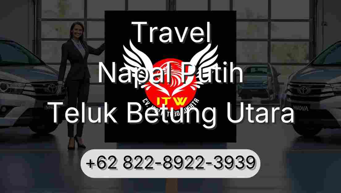 Travel Napal Putih Teluk Betung Utara