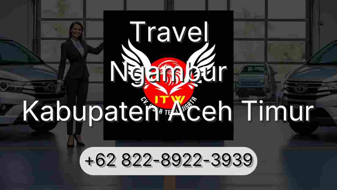 Travel Ngambur Kabupaten Aceh Timur