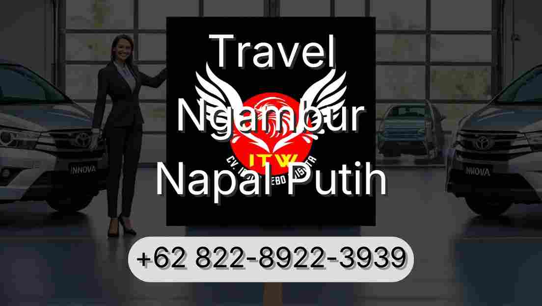 Travel Ngambur Napal Putih