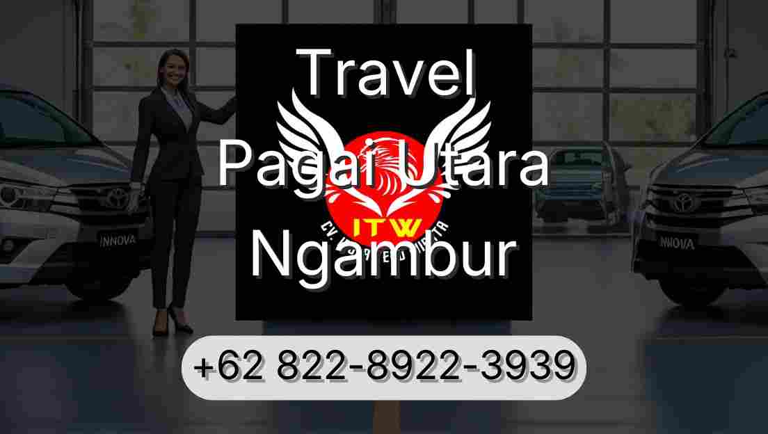 Travel Pagai Utara Ngambur