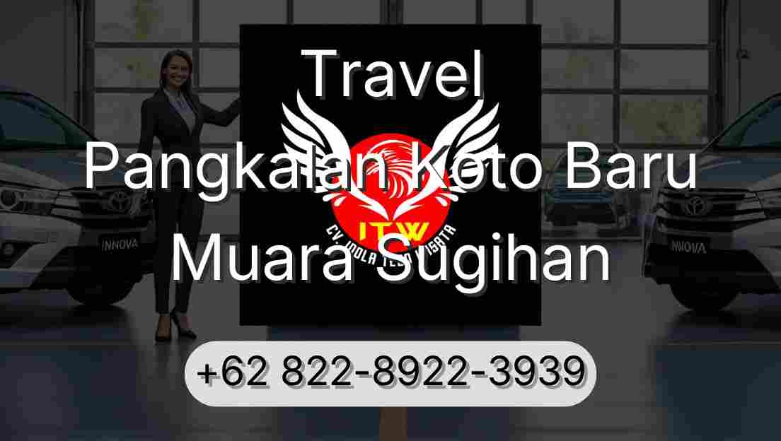 Travel Pangkalan Koto Baru Muara Sugihan
