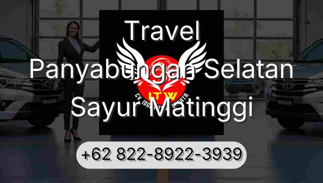 Travel Panyabungan Selatan Sayur Matinggi