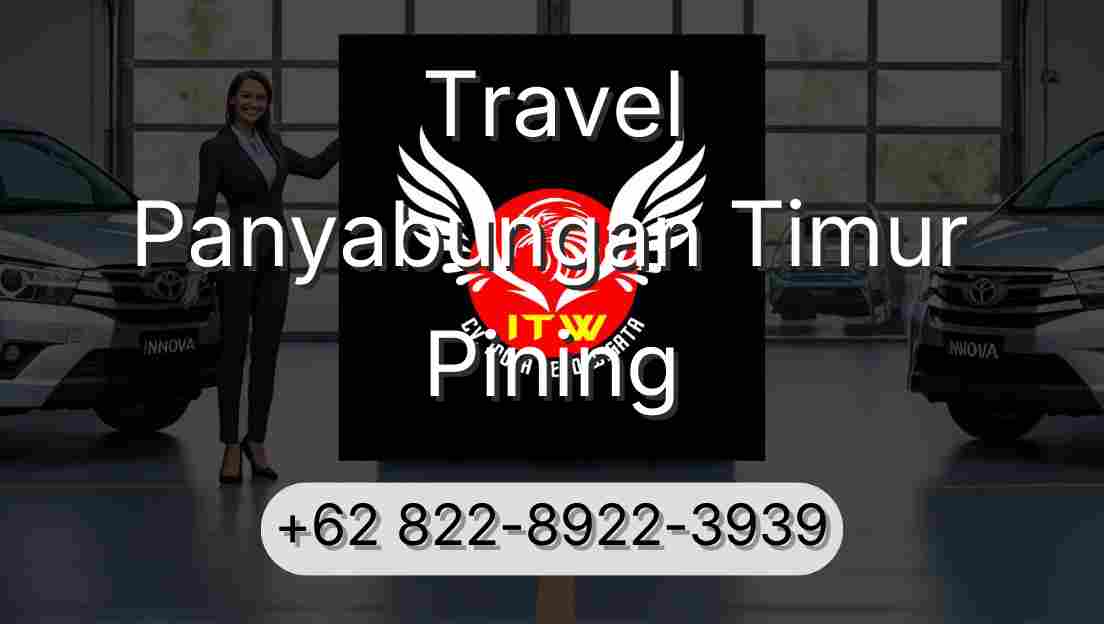 Travel Panyabungan Timur Pining