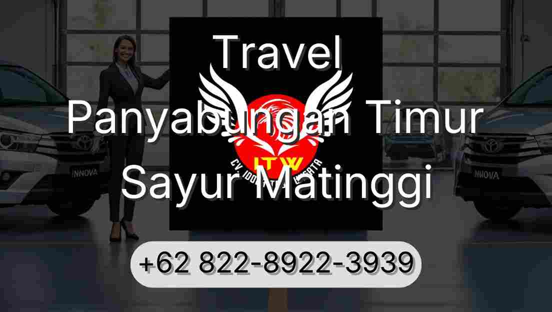 Travel Panyabungan Timur Sayur Matinggi