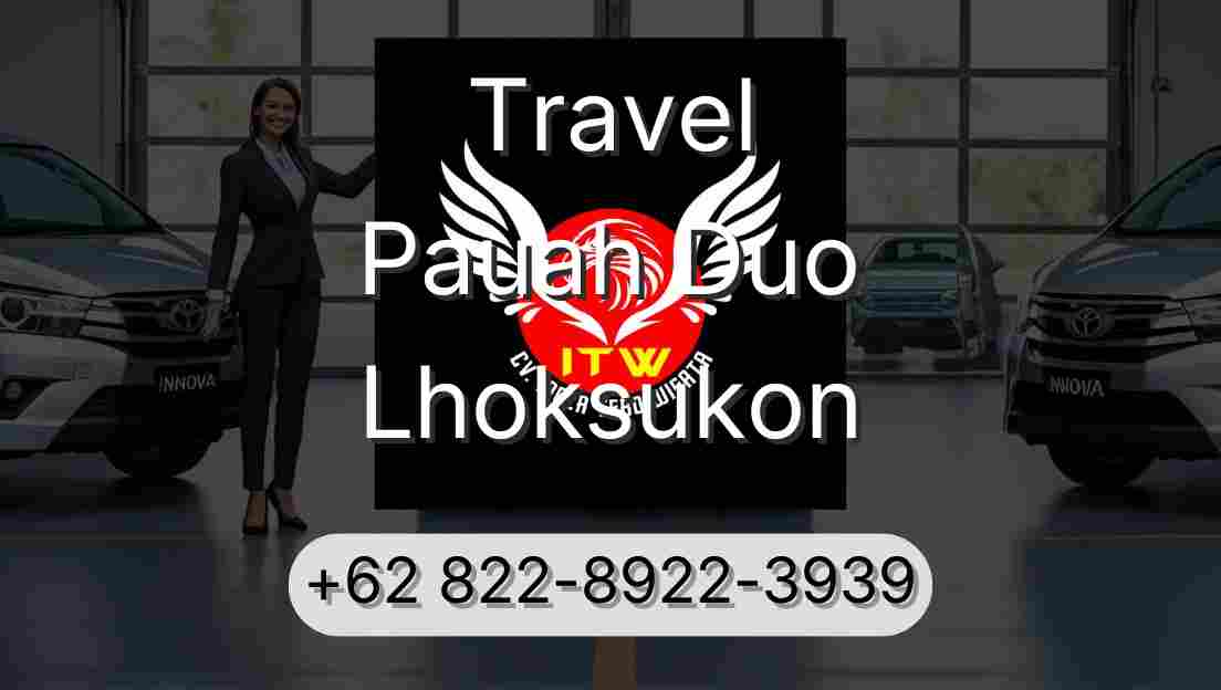 Travel Pauah Duo Lhoksukon