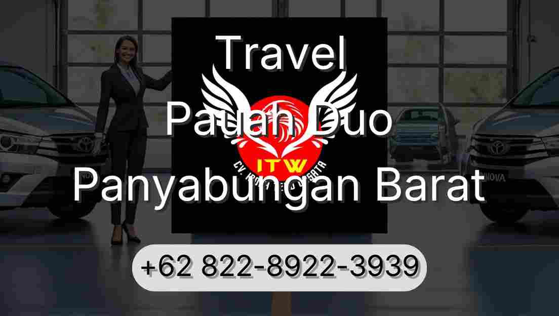 Travel Pauah Duo Panyabungan Barat