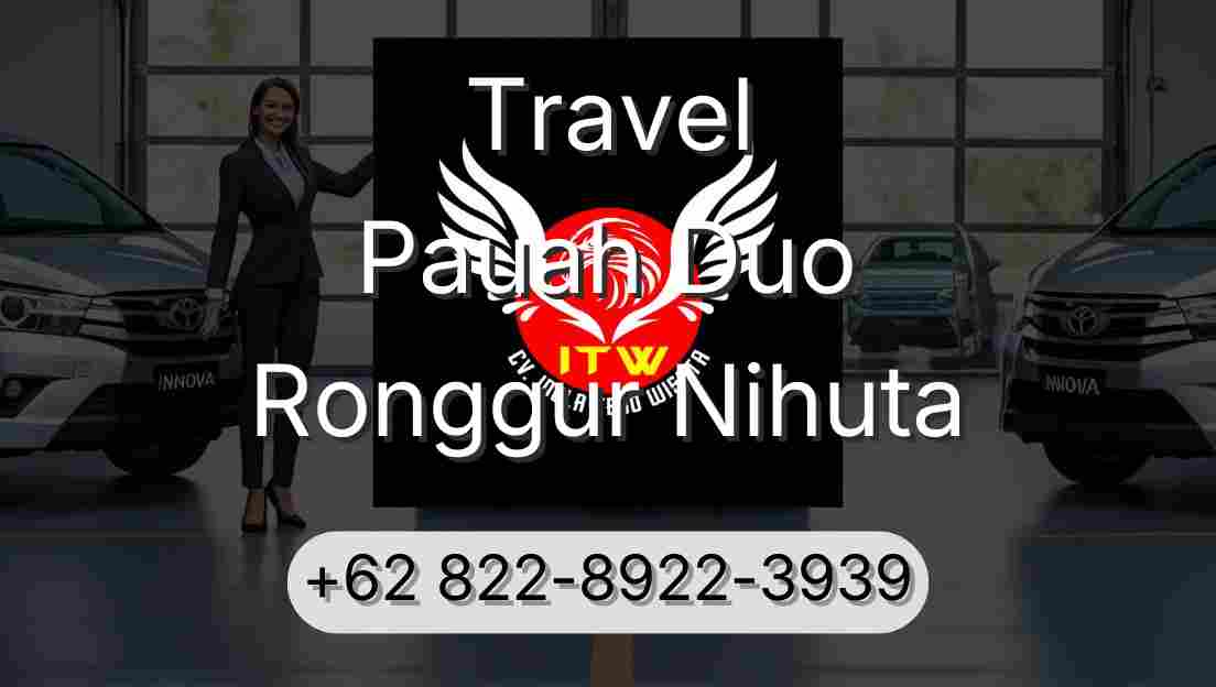 Travel Pauah Duo Ronggur Nihuta