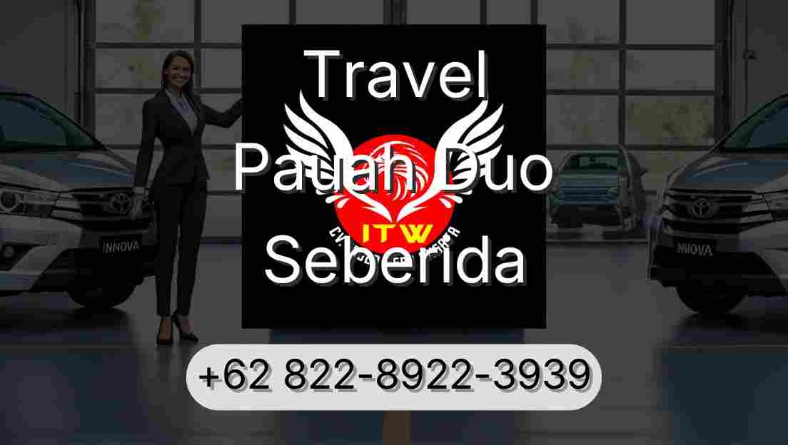 Travel Pauah Duo Seberida