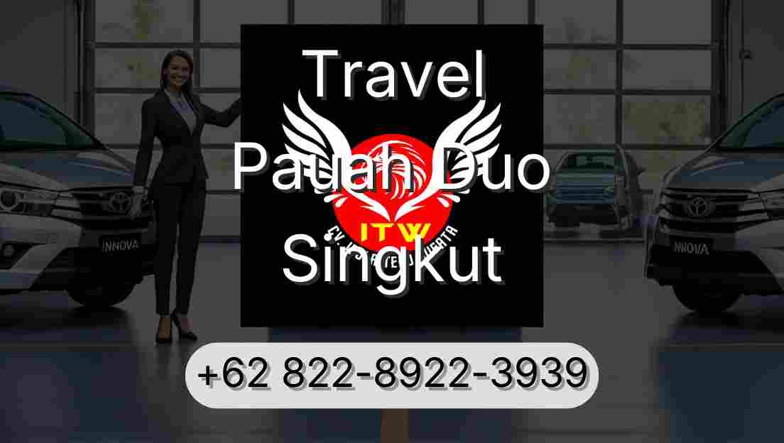 Travel Pauah Duo Singkut