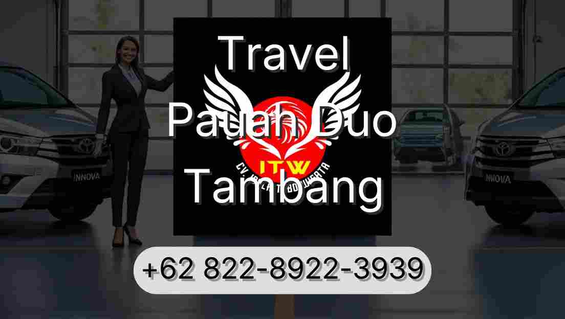 Travel Pauah Duo Tambang
