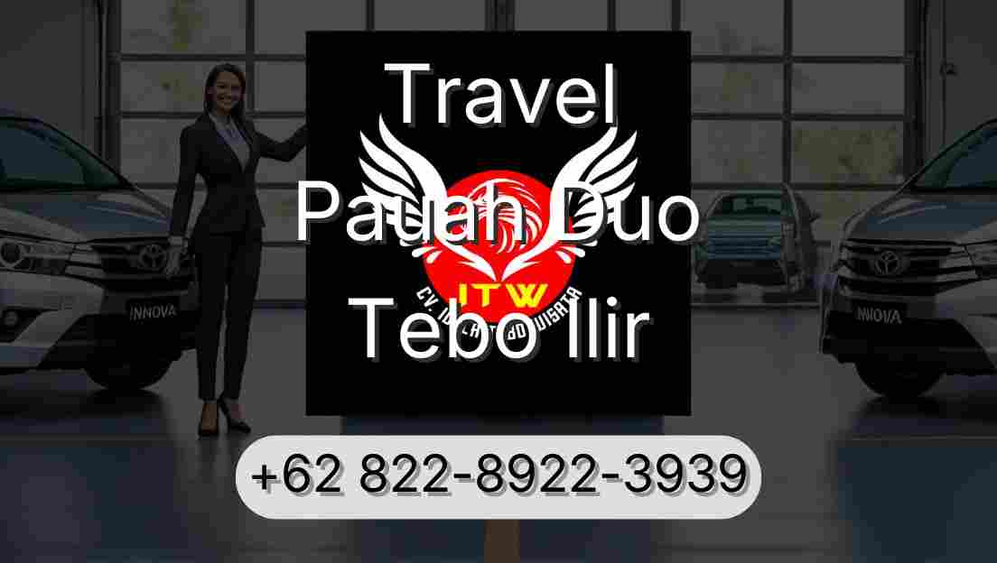 Travel Pauah Duo Tebo Ilir
