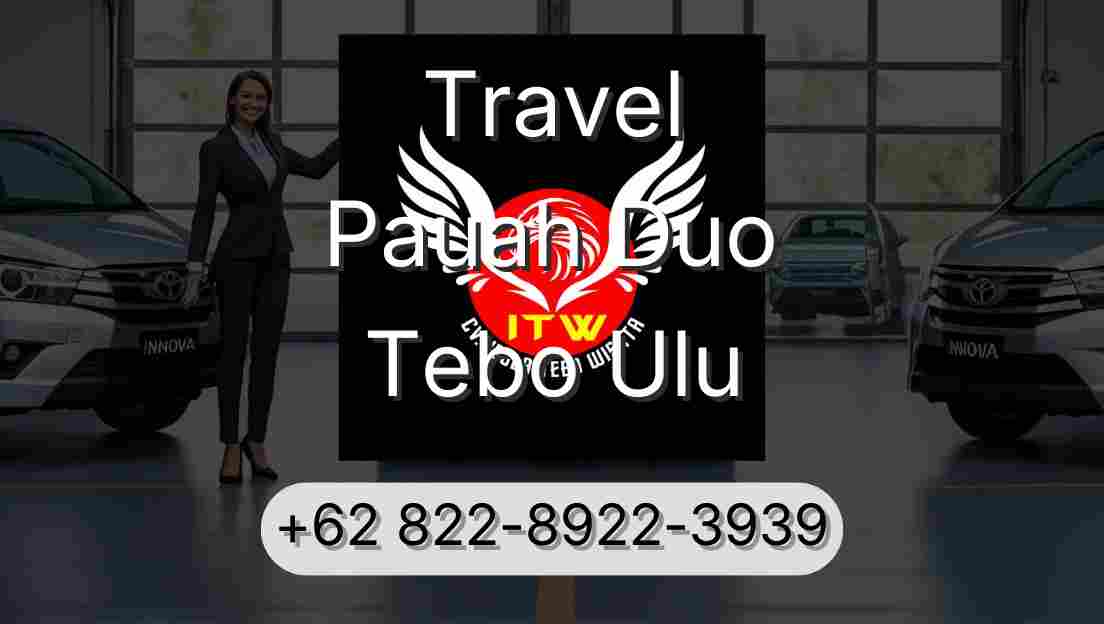 Travel Pauah Duo Tebo Ulu