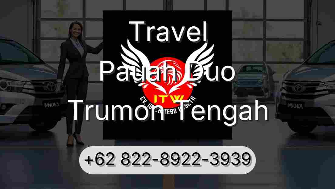 Travel Pauah Duo Trumon Tengah