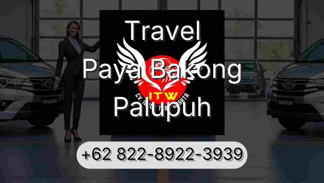 Travel Paya Bakong Palupuh