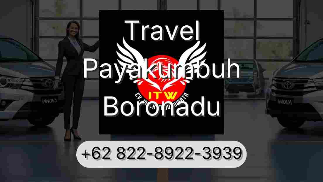 Travel Payakumbuh Boronadu