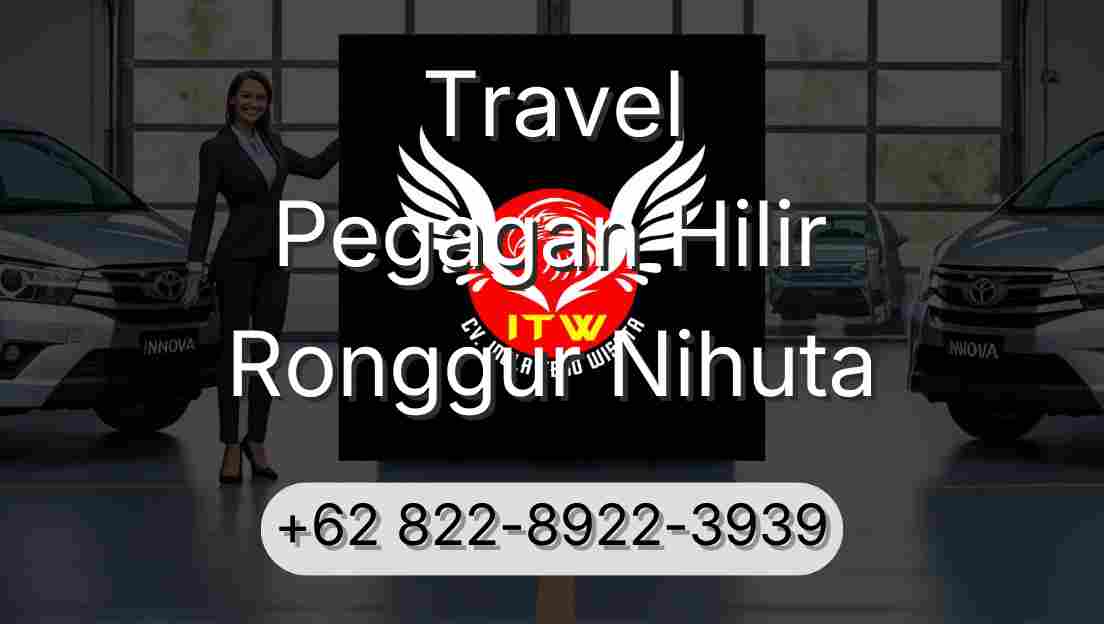 Travel Pegagan Hilir Ronggur Nihuta